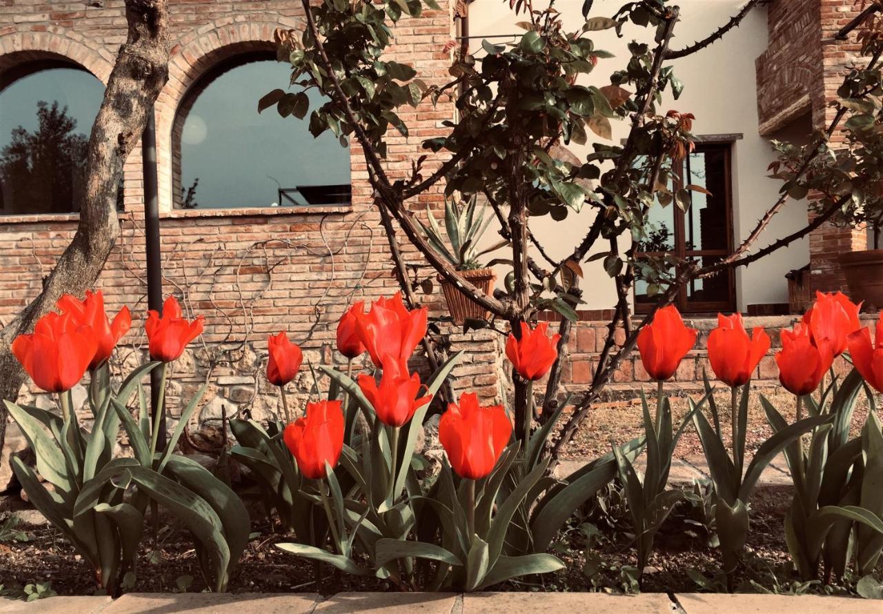 Poggio Magginga Appartement Terricciola Buitenkant foto